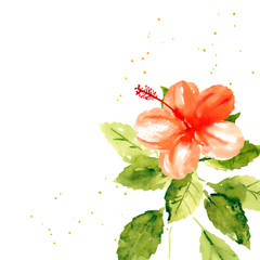 Vector background with red watercolor hibiscus