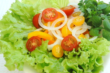 野菜サラダ