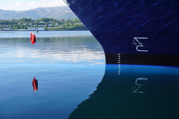 Bug spiegelt im Wasser