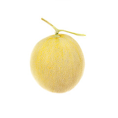melon fruit on white background