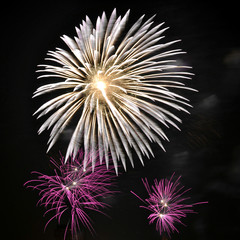 Fototapeta premium Fireworks