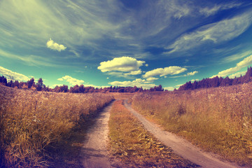 road in summer field