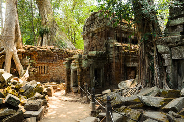 Ta Prohm