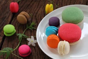 Macaron multi color.