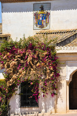 Flores y heráldica en la Casa de Pilatos, Sevilla, España, Andalucía