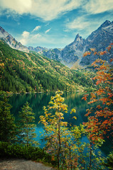 Fototapeta premium landscape 