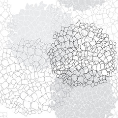 Vector seamless floral pattern with  hydrangea.