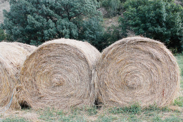straw bale texture