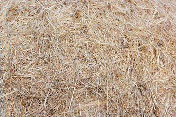 straw bale texture