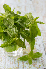 fresh mint leaves in the glass of water