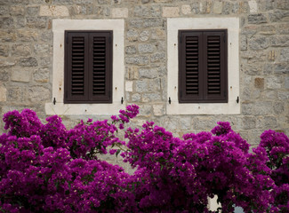 Closed windows surrounded by flowers