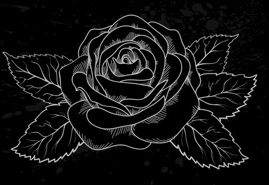 beautiful white rose outline with gray spots on a black background