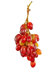 Grape Bunch. Isolated.