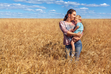 Naklejka na ściany i meble young mother and her son at the wheat field on a sunny day