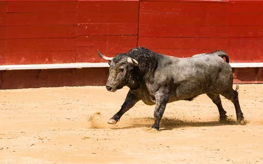 Fotobehang Toro bravo español en la arena de una plaza de toros © AmadeoAV