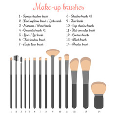 Make-up brushes set. Vector illustration of 14 make-up brushes with names.