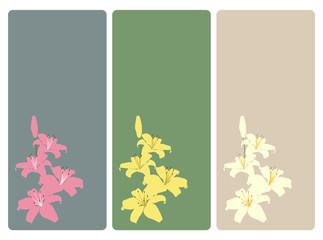 set of lily flower, tag or label,  vector illustration