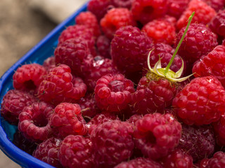 raspberries