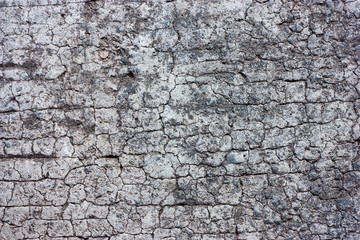 Textured walls with dirt.