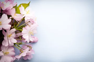 Papier Peint photo autocollant Fleur de cerisier Cerisier des arbres.