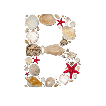 B - letter arranged from sea shells and starfishes