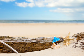Fototapeta na wymiar Summer Holidays in Beach