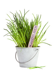 Schnittlauch mit Namensschild im Zinkeimer isoliert