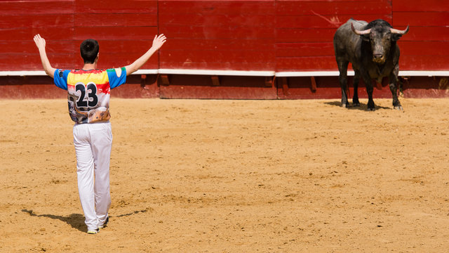 Competici&oacute;n de recortes con toros bravos. En esta competici&oacute;n se usa el propio cuerpo para torear