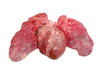 Pig heart and lung isolated on white background.