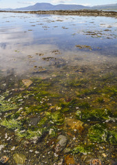 View of Bantry Bay in Summer