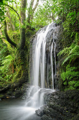 Fototapeta na wymiar Waterfall in County Cork Ireland