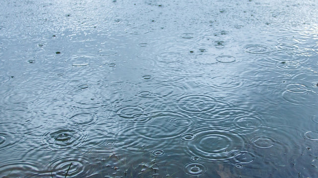 Raindrop falls on the surface lake