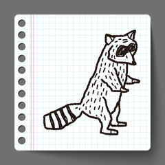 raccoon doodle