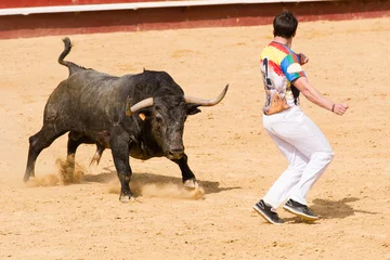 Printed kitchen splashbacks Bullfighting Competición de recortes con toros bravos. En esta competición se usa el propio cuerpo para torear
