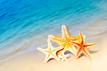 Fototapeta na wymiar Starfish and summer beach