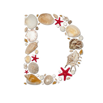 D - letter arranged from sea shells and starfishes