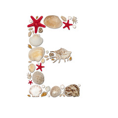 E - letter arranged from sea shells and starfishes