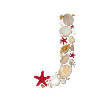 J - letter arranged from sea shells and starfishes