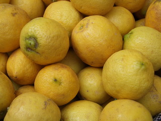 Citrons Menton
