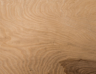 Texture of wood background closeup
