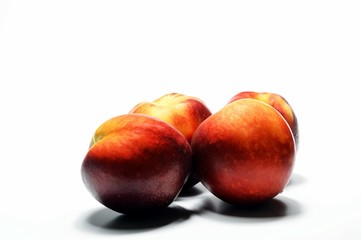 pesche biologiche