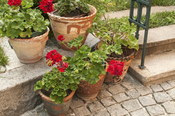 Detail of backyard garden with flowers, stone steps and pavement