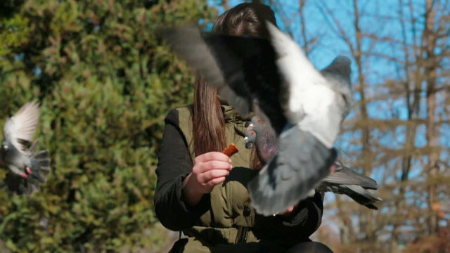 Cheerful Girl Feeding Pigeons In Park