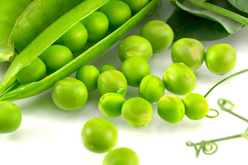 green pea