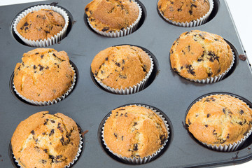 delicious muffins / delicious muffins in a baking dish
