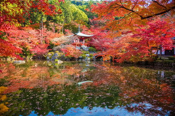 Naklejka premium Autumn at daigoji temple
