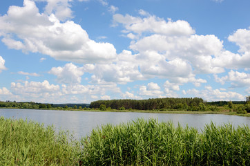 Beautiful landscape with reeds and clouds over the pool (harmony