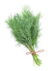 Fresh garden herbs. Dill