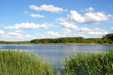 Obraz na płótnie Canvas Beautiful landscape with reeds and clouds over the pool (harmony