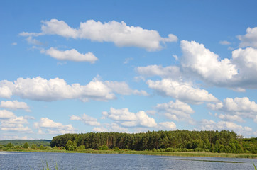 Beautiful landscape with reeds and clouds over the pool (harmony